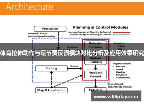 体育拉伸动作与缓节奏反馈模块对比分析及应用效果研究